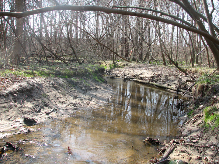 Field photo showing stream conditions at site CORS-106-X-2008-1