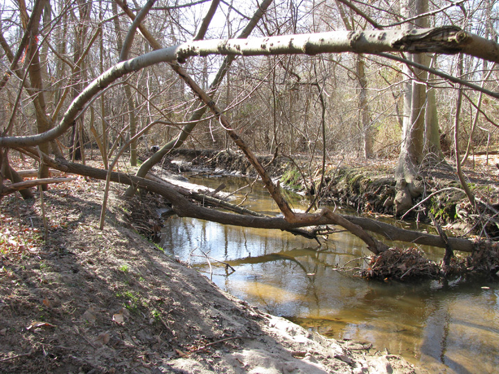 Field photo showing stream conditions at site CORS-106-X-2009-1