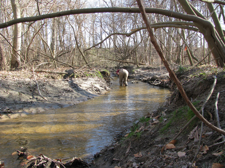 Field photo showing stream conditions at site CORS-106-X-2009-2