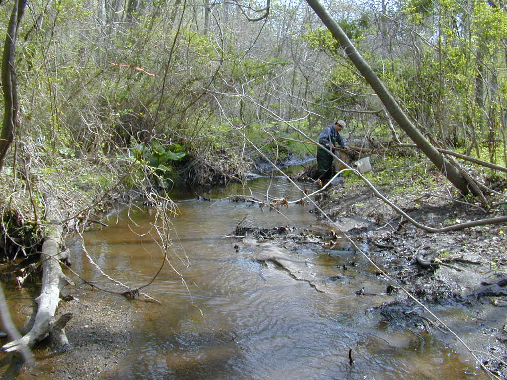 Field photo showing stream conditions at site CORS-107-R-2000-01