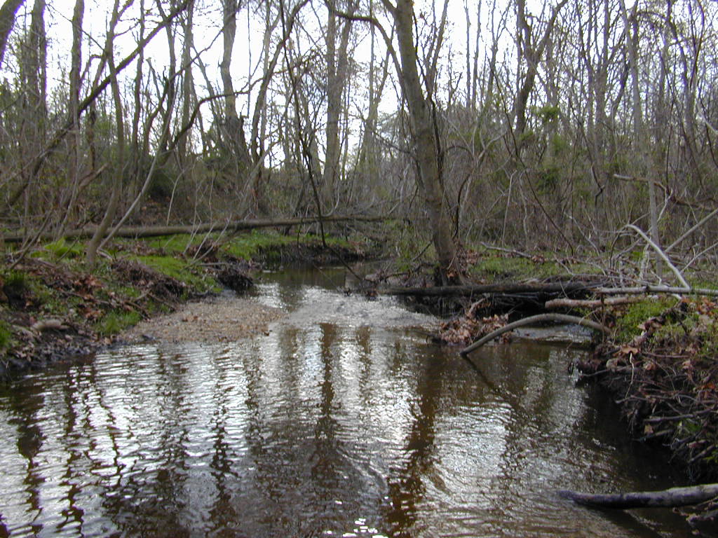 Field photo showing stream conditions at site CORS-108-R-2000-02
