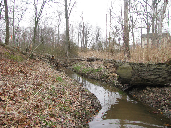 Field photo showing stream conditions at site CORS-109-X-2009-1