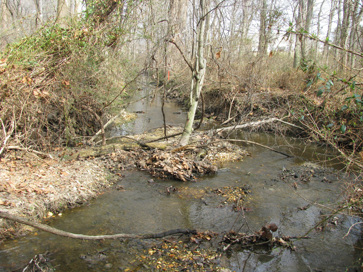 Field photo showing stream conditions at site CORS-110-X-2009-1