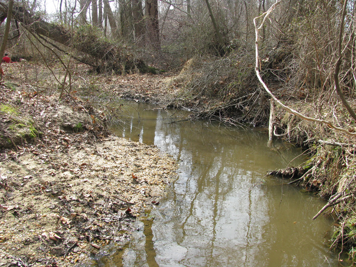 Field photo showing stream conditions at site CORS-110-X-2009-2