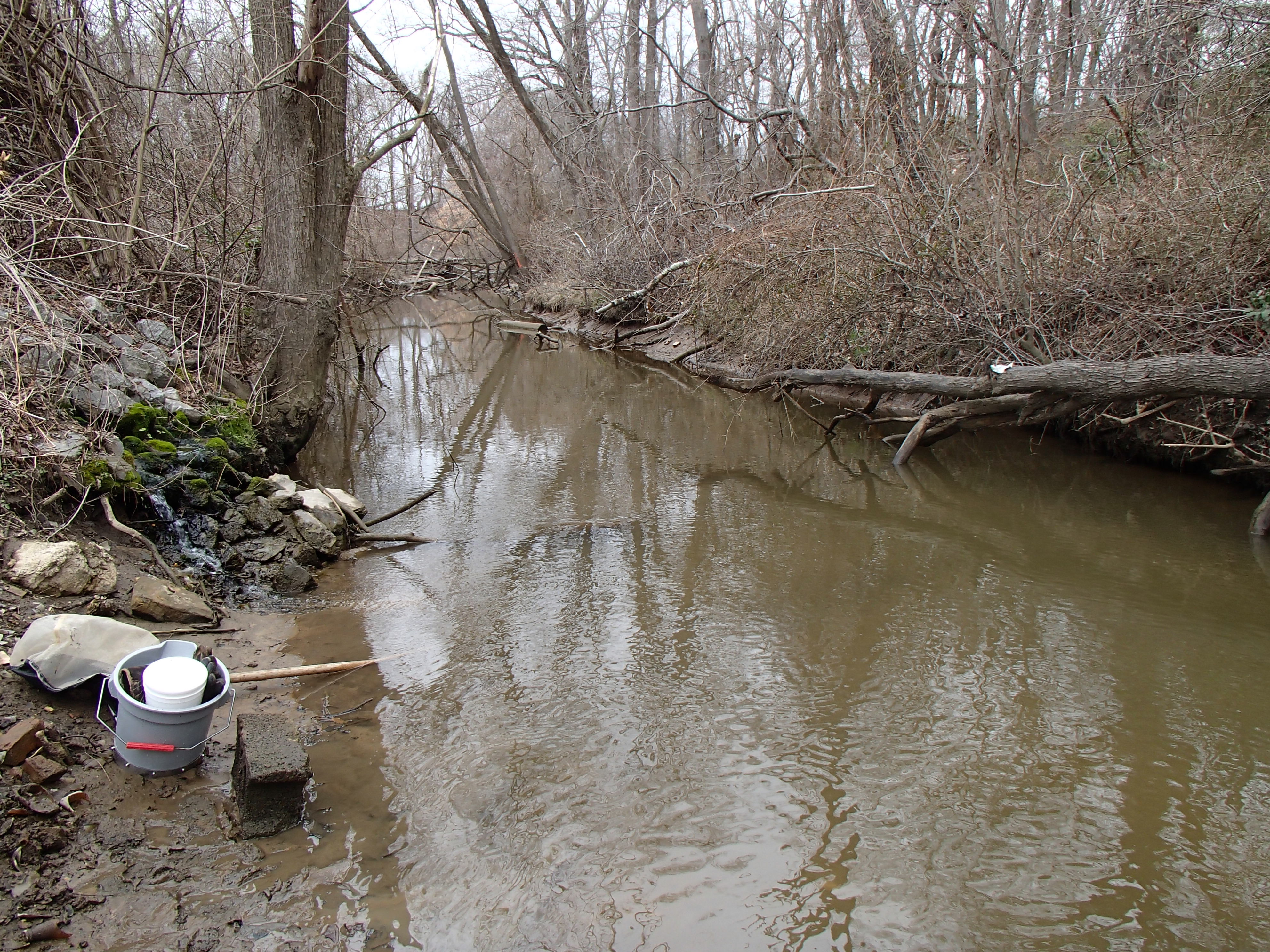 Field photo showing stream conditions at site CORS-116-R-2015_Midpoint-looking-downstream