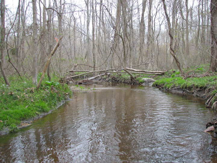 Field photo showing stream conditions at site CORS-122-H-2007-1