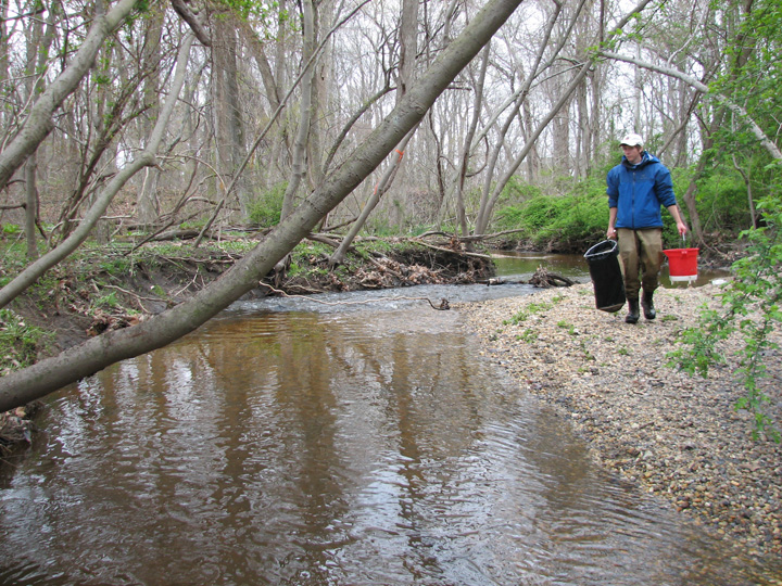 Field photo showing stream conditions at site CORS-122-H-2007-2