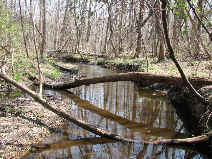 Field photo showing stream conditions at site CORS-122-X-2008-1