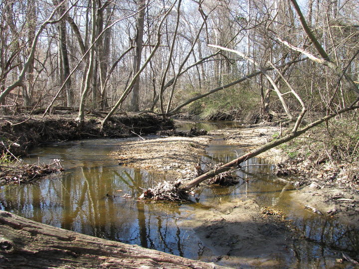 Field photo showing stream conditions at site CORS-122-X-2009-1