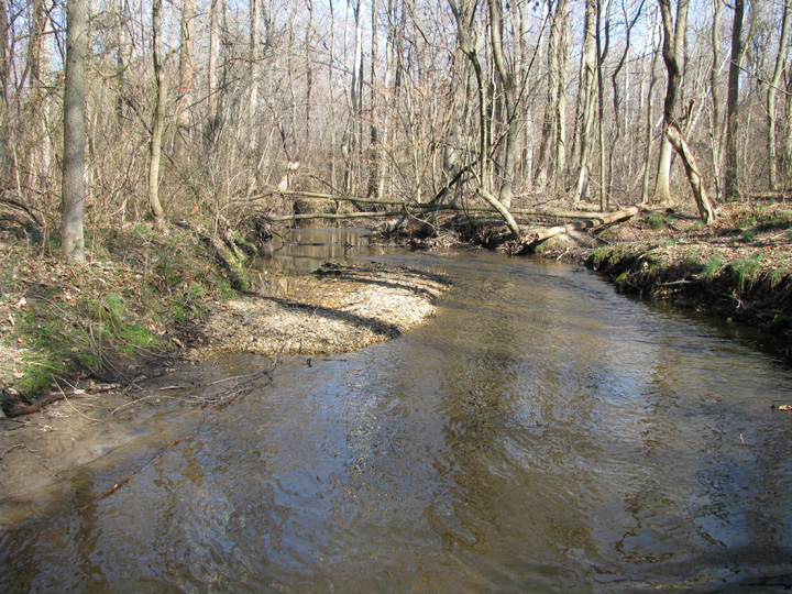 Field photo showing stream conditions at site CORS-122-X-2009-2