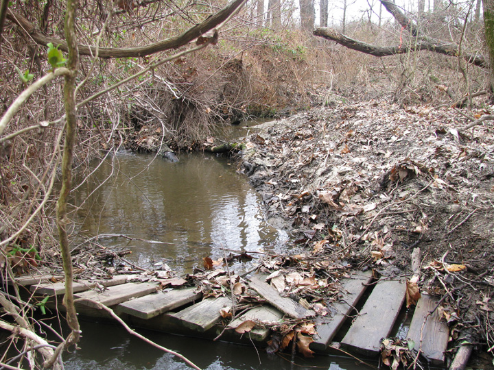 Field photo showing stream conditions at site CORS-124-X-2009-2