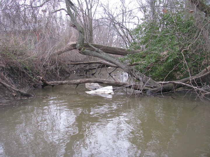 Field photo showing stream conditions at site CORS-125-X-2009-1