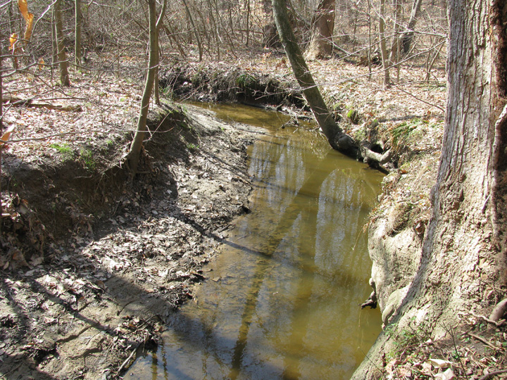 Field photo showing stream conditions at site CORS-127-X-2009-2