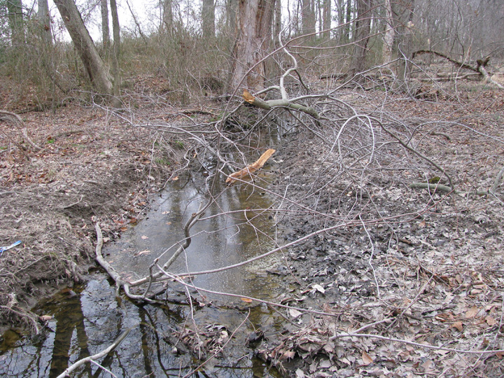 Field photo showing stream conditions at site CORS-128-X-2009-2