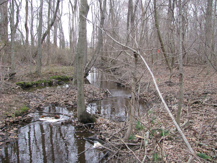 Field photo showing stream conditions at site CORS-129-X-2009-1