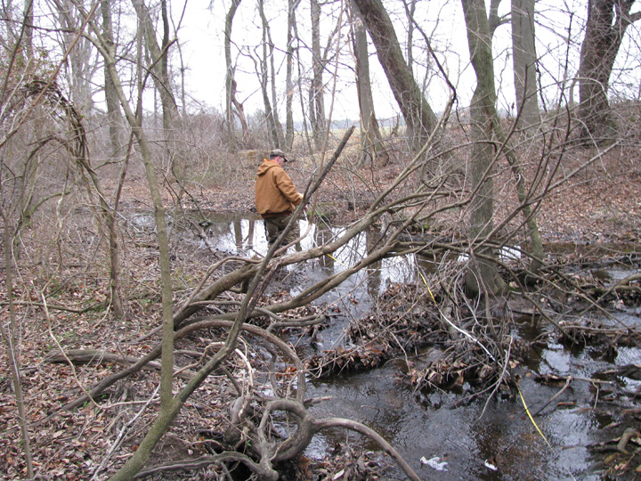 Field photo showing stream conditions at site CORS-129-X-2009-2