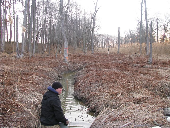 Field photo showing stream conditions at site CORS-131-X-2009-1