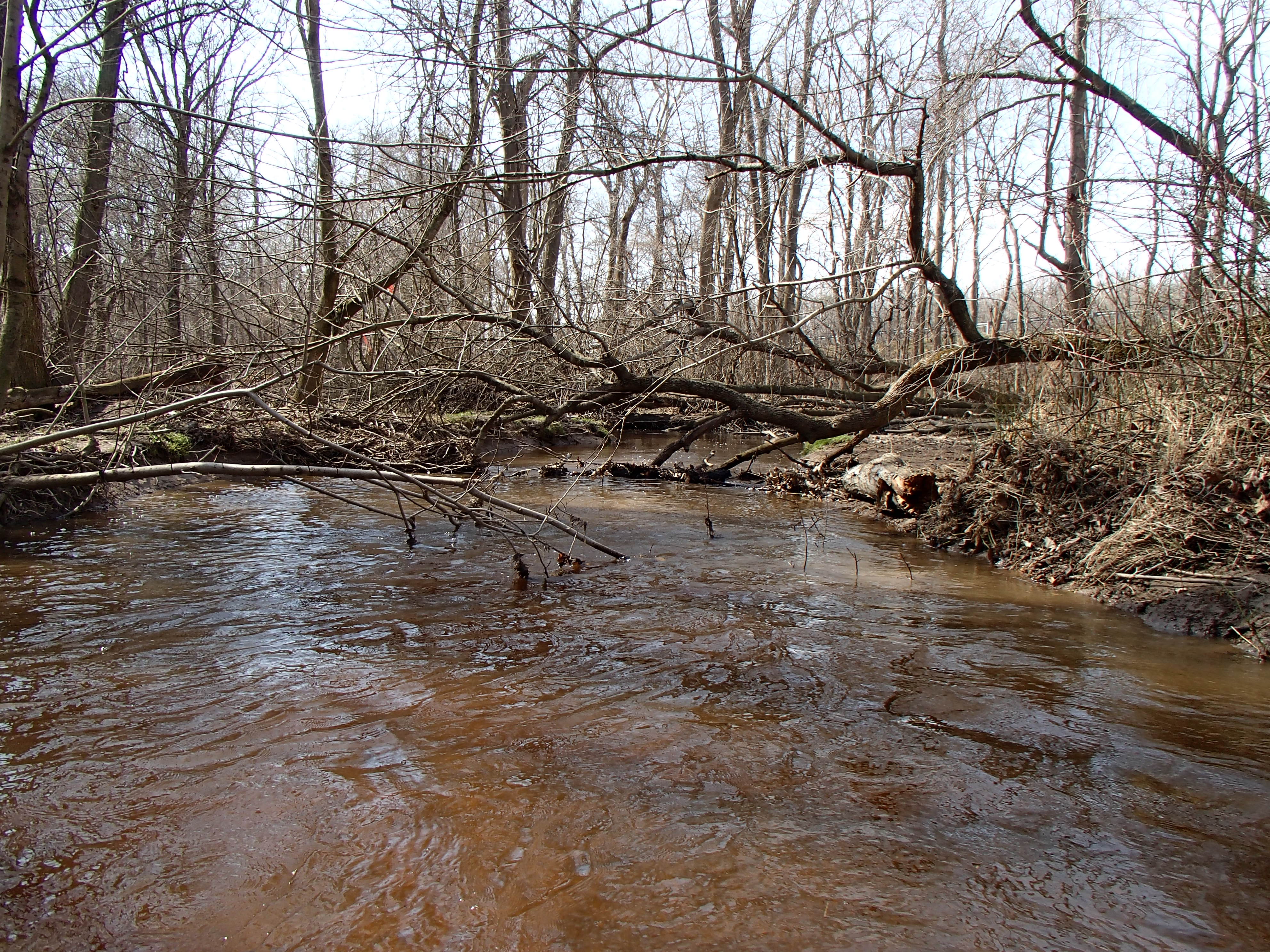 Field photo showing stream conditions at site CORS-204-R-2015_Midpoint-downstream