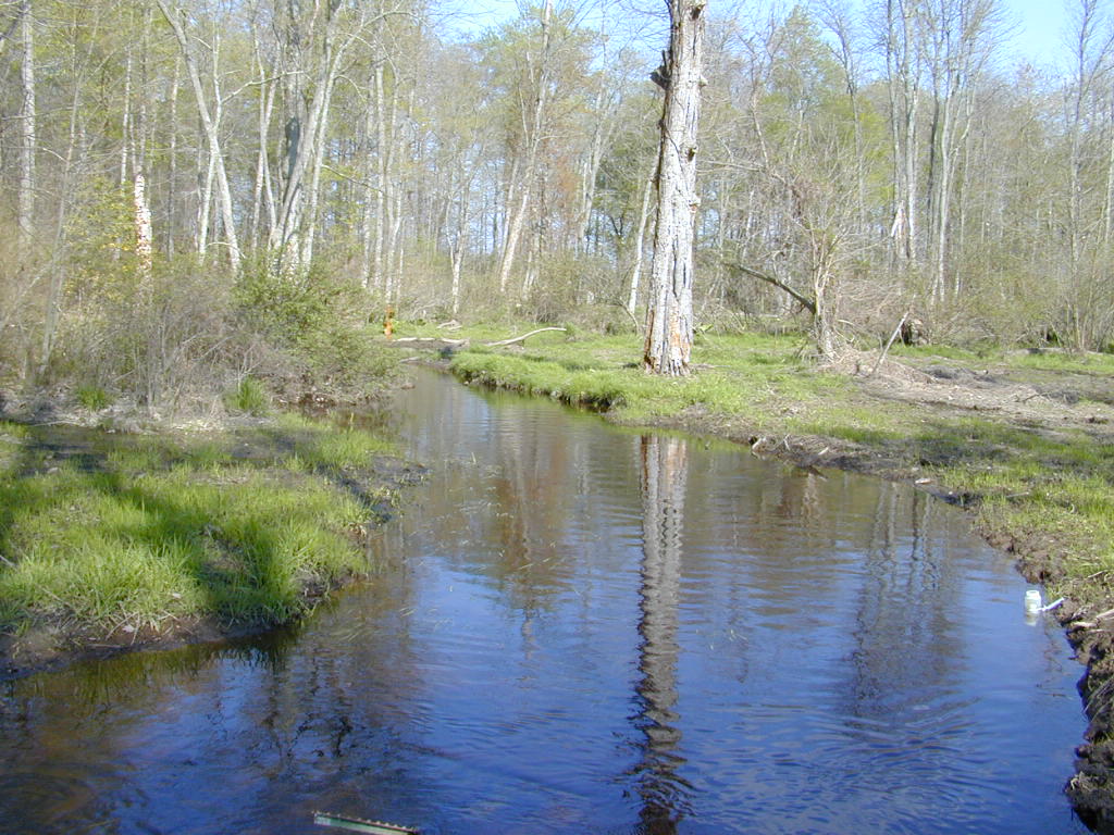 Field photo showing stream conditions at site CORS-205-R-2000-01