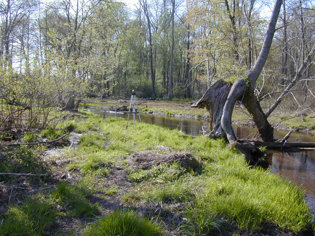 Field photo showing stream conditions at site CORS-205-R-2000-02