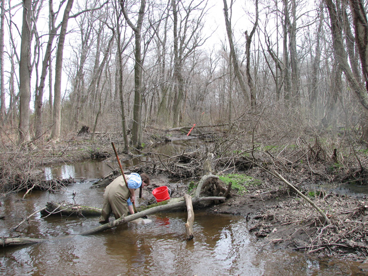 Field photo showing stream conditions at site CORS-207-R-2007-1