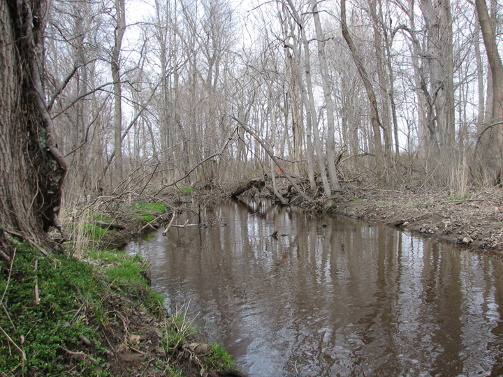 Field photo showing stream conditions at site CORS-207-R-2007-2