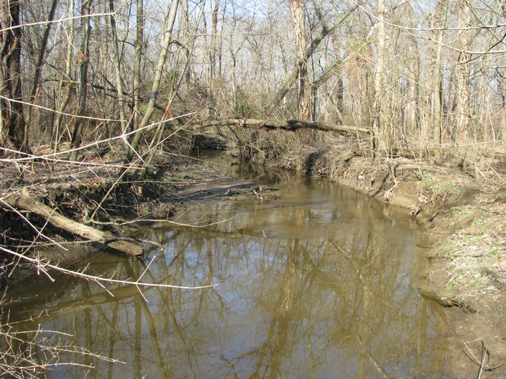Field photo showing stream conditions at site CORS-213-X-2009-1