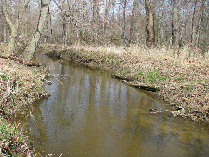 Field photo showing stream conditions at site CORS-214-X-2009-1