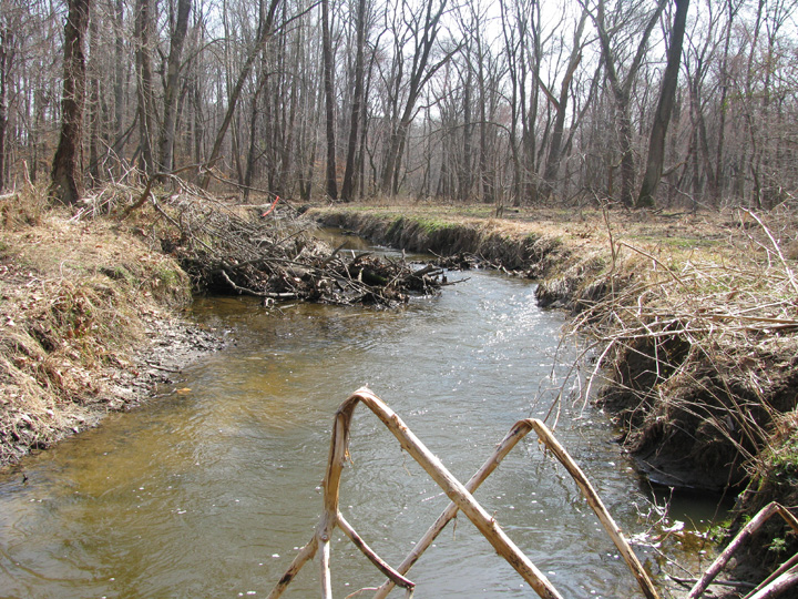 Field photo showing stream conditions at site CORS-214-X-2009-2
