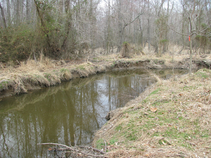 Field photo showing stream conditions at site CORS-215-X-2009-1