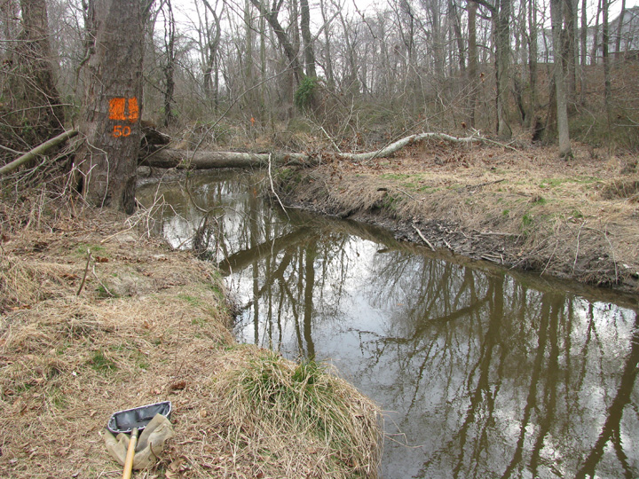 Field photo showing stream conditions at site CORS-215-X-2009-2