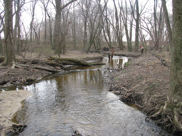 Field photo showing stream conditions at site CORS-216-X-2009-1