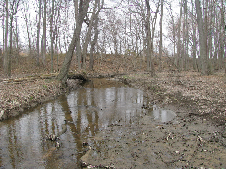 Field photo showing stream conditions at site CORS-216-X-2009-2