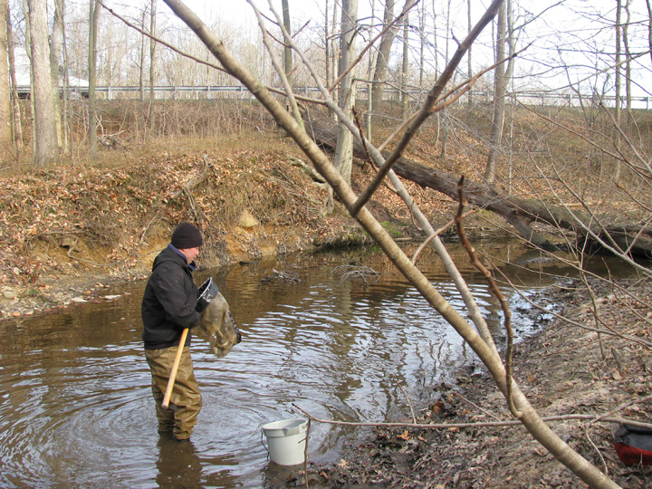 Field photo showing stream conditions at site CORS-234-X-2009-2