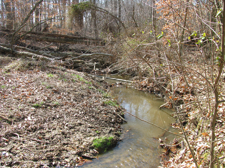 Field photo showing stream conditions at site CORS-237-X-2009-1