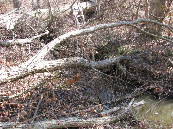 Field photo showing stream conditions at site CORS-237-X-2009-2