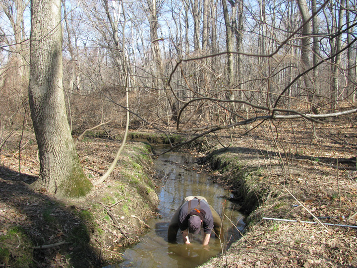 Field photo showing stream conditions at site CORS-238-X-2009-1