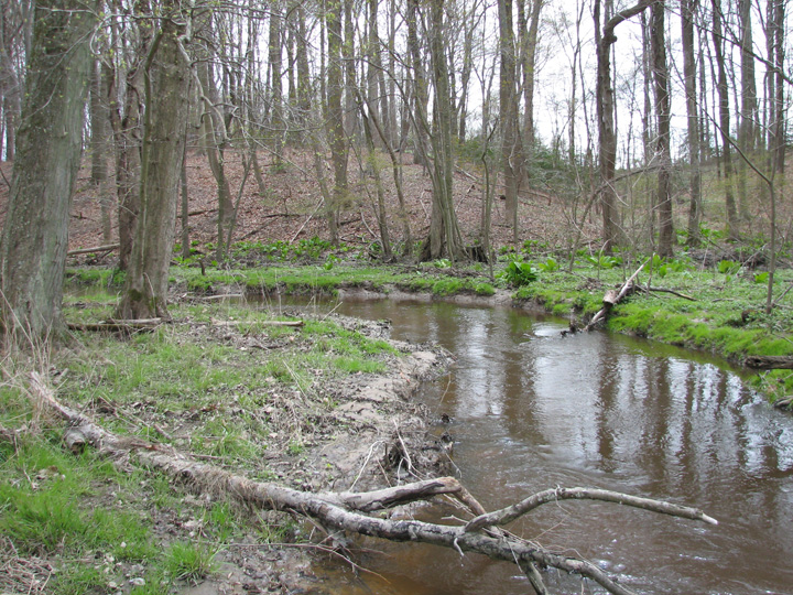 Field photo showing stream conditions at site CORS-250-H-2007-1