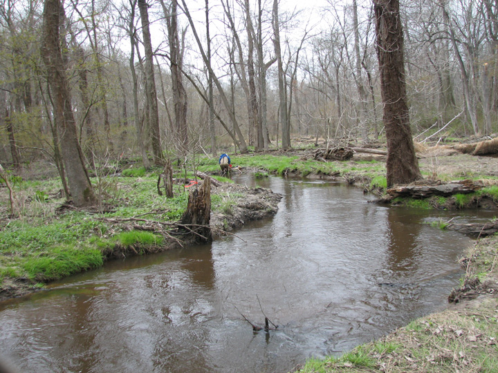 Field photo showing stream conditions at site CORS-250-H-2007-2