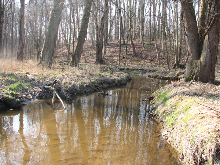 Field photo showing stream conditions at site CORS-250-H-2008-1
