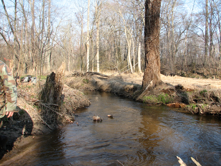Field photo showing stream conditions at site CORS-250-H-2008-2