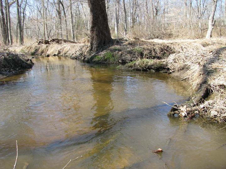 Field photo showing stream conditions at site CORS-250-H-2009-1