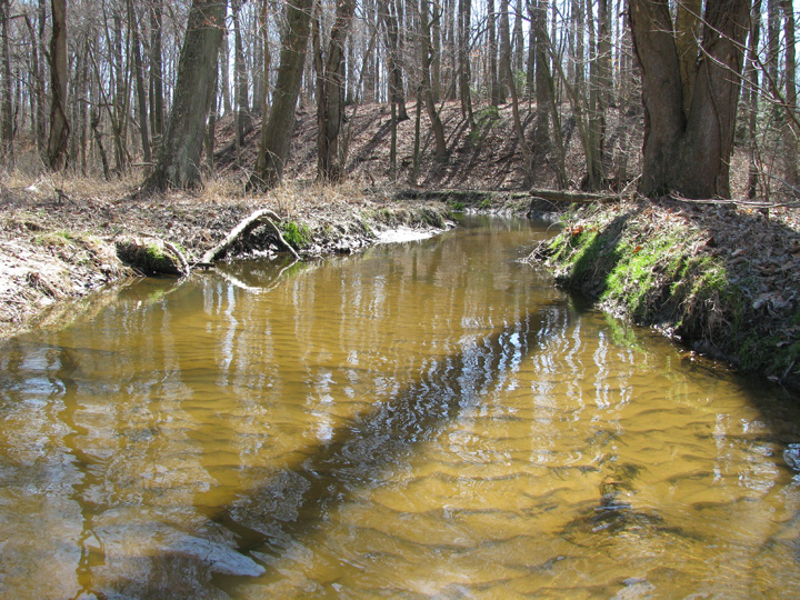 Field photo showing stream conditions at site CORS-250-H-2009-2