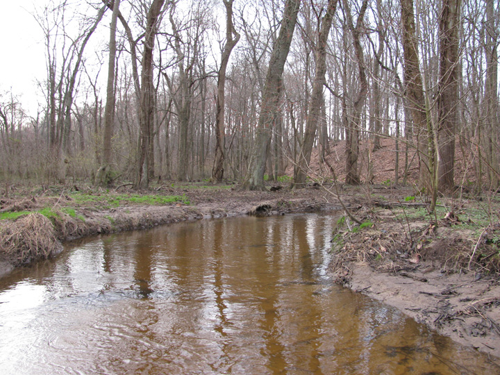 Field photo showing stream conditions at site CORS-250-H-2010-1