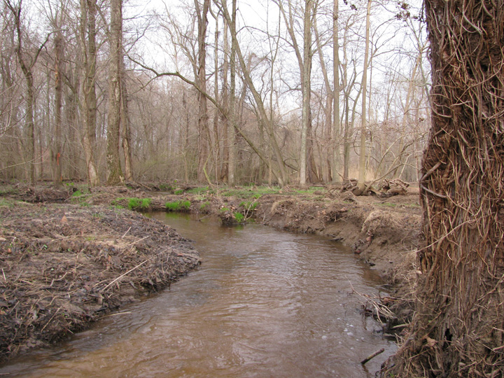 Field photo showing stream conditions at site CORS-250-H-2010-2