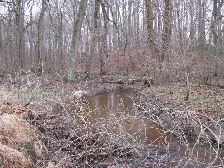 Field photo showing stream conditions at site CORS-250-H-2011-1