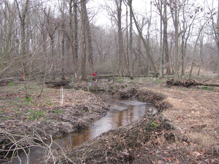 Field photo showing stream conditions at site CORS-250-H-2011-2