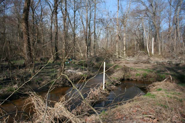 Field photo showing stream conditions at site CORS-250-H-2012-MidpointPdownstream
