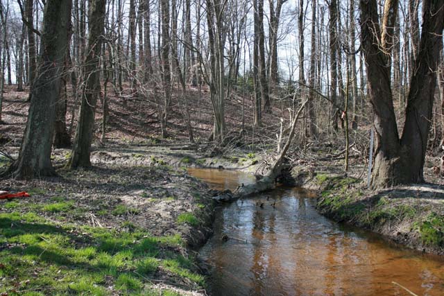 Field photo showing stream conditions at site CORS-250-H-2012-MidpointPupstream
