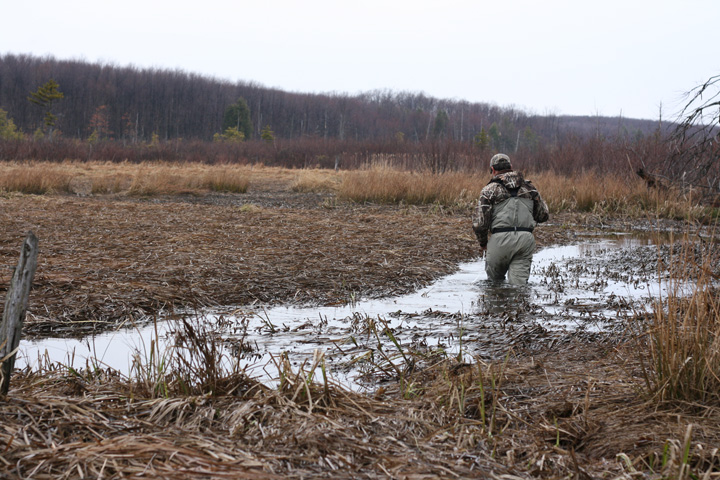 Field photo showing stream conditions at site DCRL-102-R-2009-2